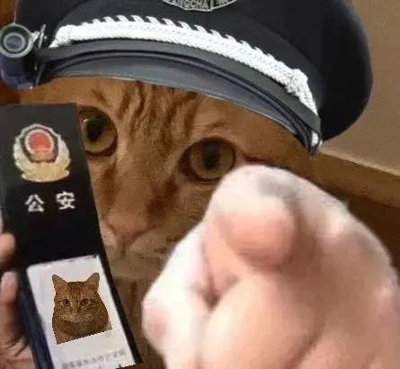 猫咪警察指人表情包