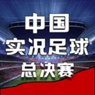 中国实况足球总决赛
