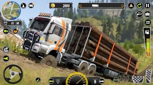 泥卡车货物模拟器游戏