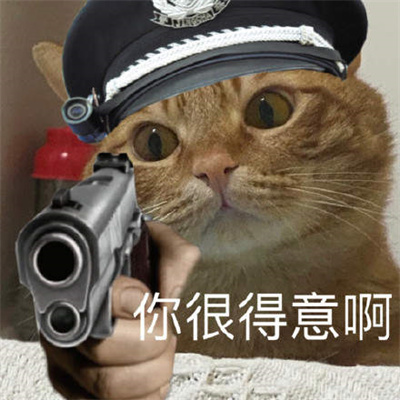 猫咪警察表情包图片大全