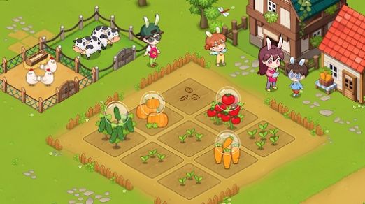 兔子的胡萝卜农场.jpg